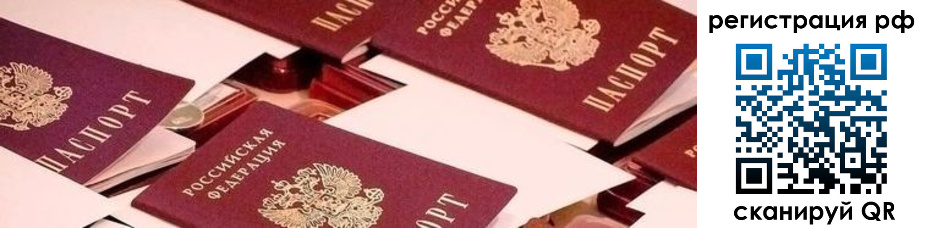 прописка ребенка в Димитровграде