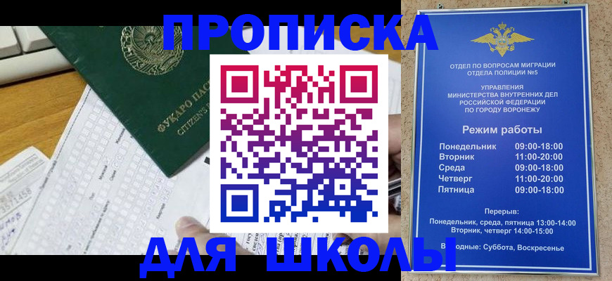 прописка регистрация в Димитровграде
